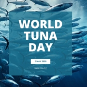 tuna