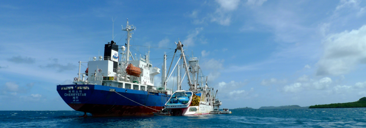 Commercial Tuna Fishing