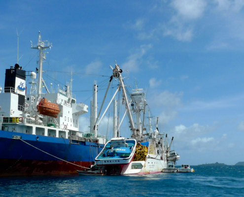 Commercial Tuna Fishing