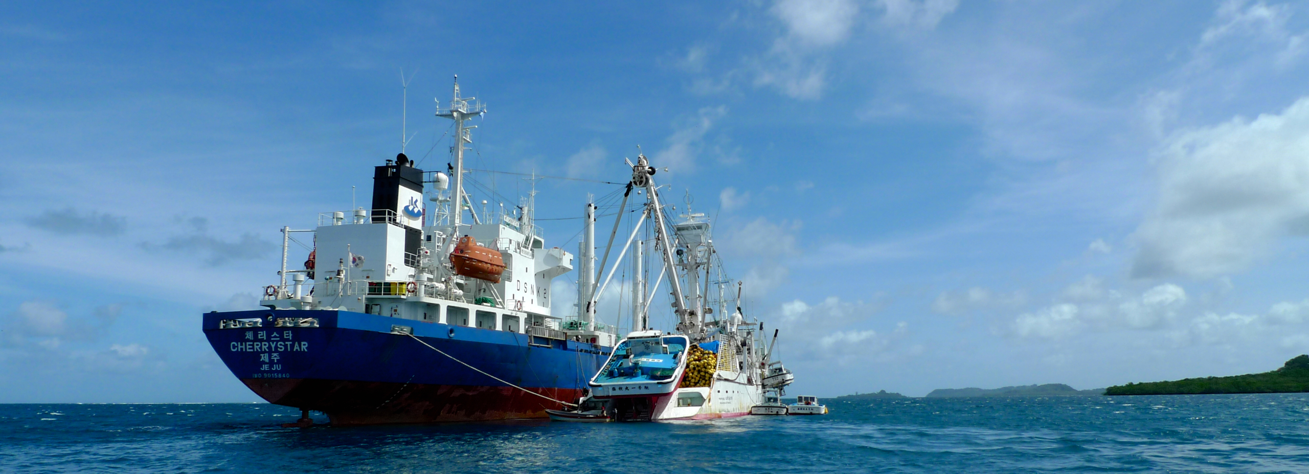 Commercial Tuna Fishing