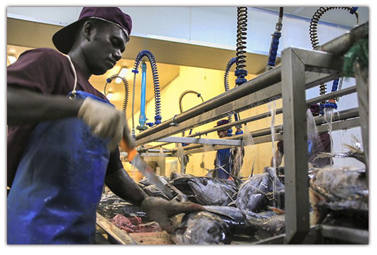 Economic and Social Development Economic and Social Development