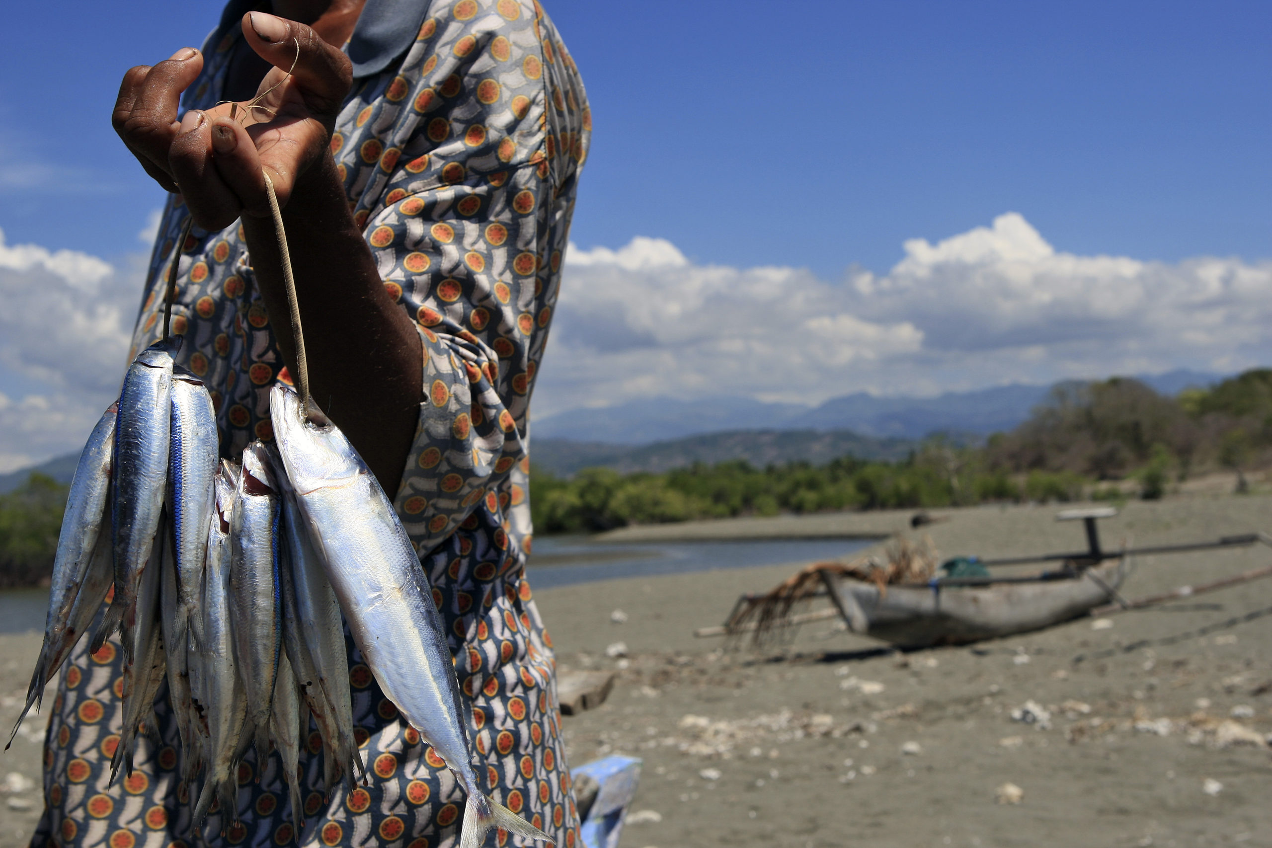 Conservation of Critical Fishery Habitats