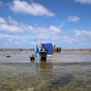Fisheries and climate change: A Pacific perspective