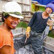 Economic and Social Development 100 percent sustainable fishery