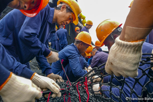 Economic and Social Development