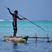 Covid-19 Climate change impacts