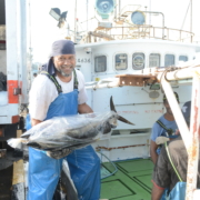 Tuna Fisheries Blue Continent