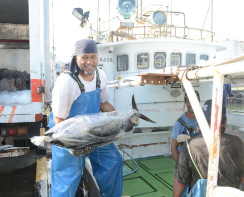 Tuna Fisheries Blue Continent