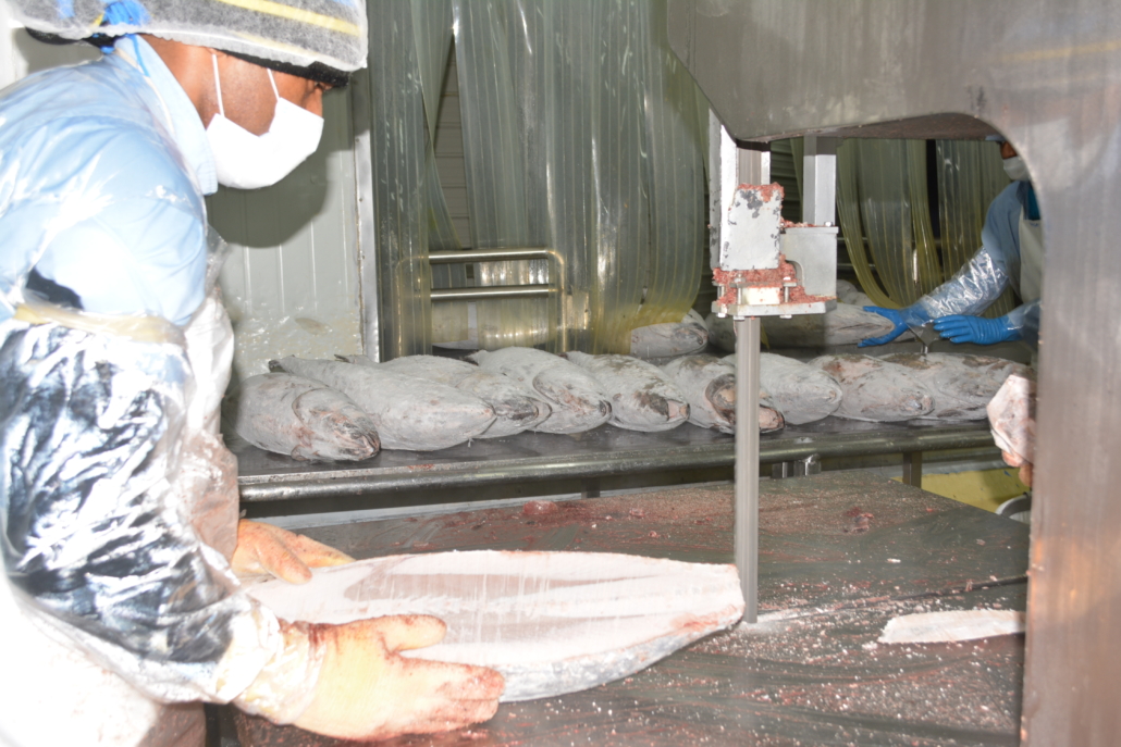 Tuna Fisheries Blue Continent