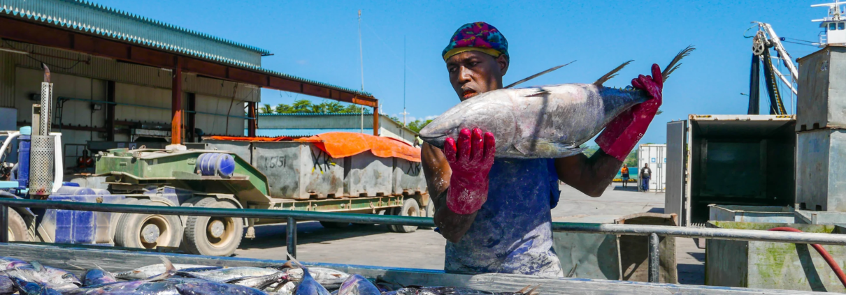 Western and Central Pacific Ocean sustainable tuna