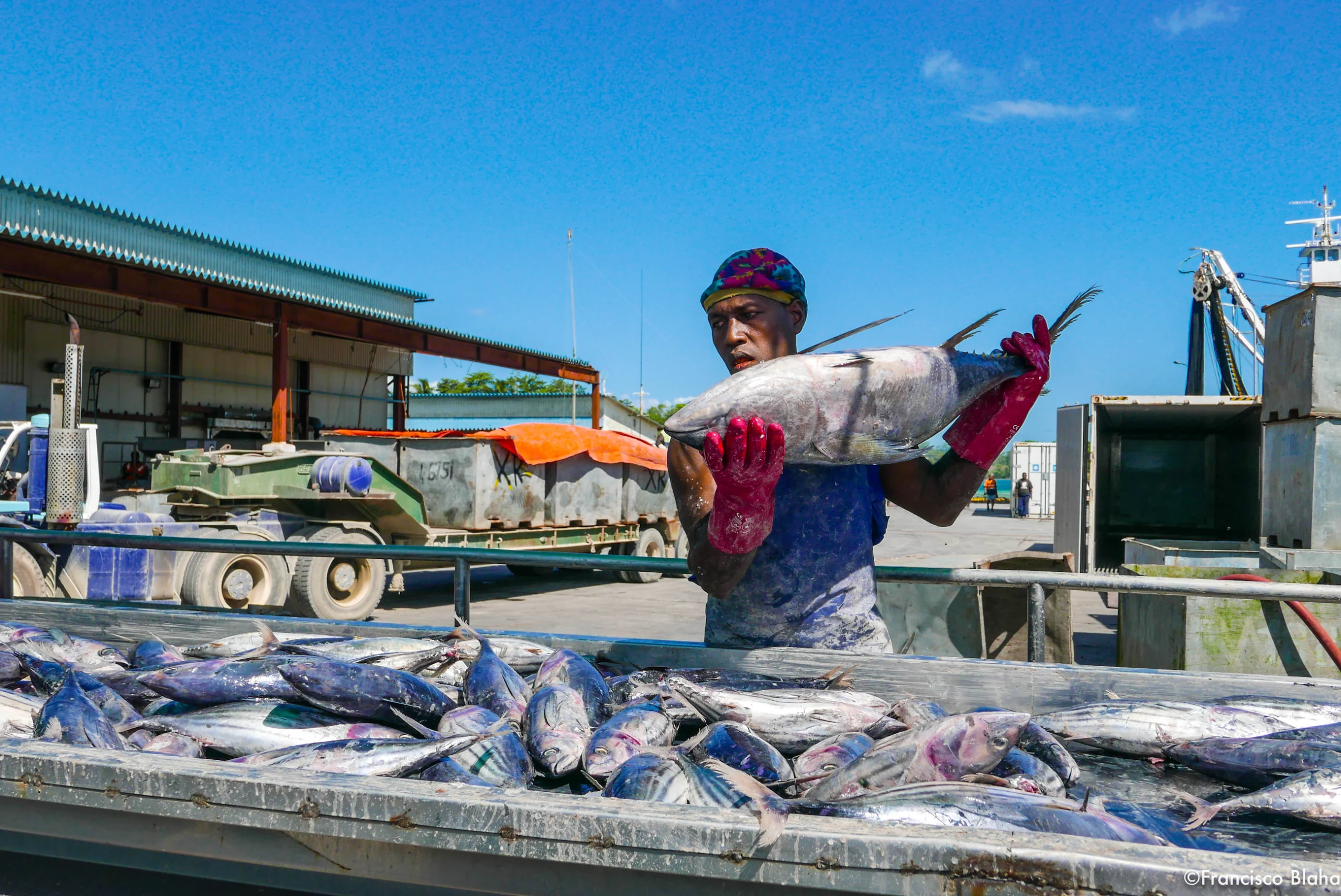 Western and Central Pacific Ocean sustainable tuna