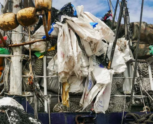 Pacific study on marine pollution