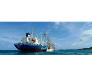 Assessing the Contribution of Landings from Locally Based Commercial Tuna Fishing Vessels to Food Security