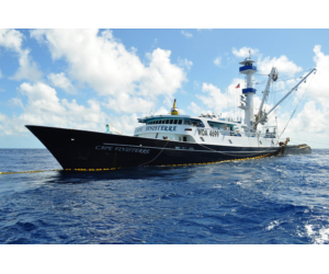 Market and Industry Dynamics: WCPO Distant Water Tuna Purse Seine Fishery