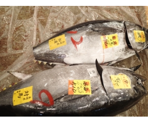 The Tuna Longline Industry in the Western and Central Pacific Ocean and its Market Dynamics