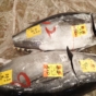 2017 The Tuna Longline Industry.jpg
