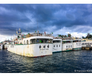 Business Feasibility of Longline Vessels Palau